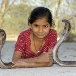 Girl and two cobras