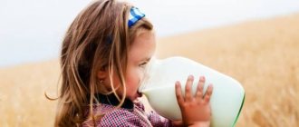 Girl drinks milk