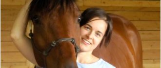 Girl petting a horse