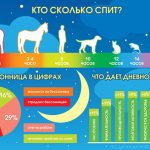 Интересные факты о сне