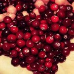 Why do you dream about lingonberries?