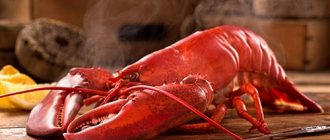 Why do you dream about cooking lobster?