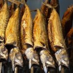 Why do you dream about smoked fish: a girl, a woman, a pregnant woman, a man - interpretation according to different dream books