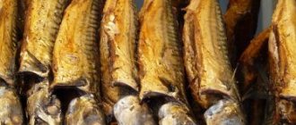 Why do you dream about smoked fish: a girl, a woman, a pregnant woman, a man - interpretation according to different dream books