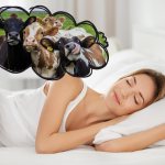 Why do you dream about a cow?