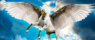 why do you dream about pegasus in the sky