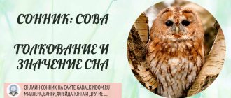 к чему снится сова?