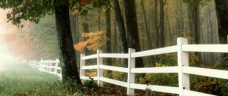 Why do you dream of a fence - for happiness or problems?