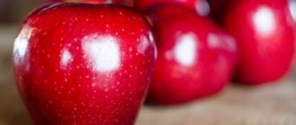 К чему снятся красные яблоки: девушке, женщине, беременной, мужчине – толкование по разным сонникам