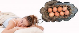 Why do you dream about eggs?