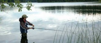 Ловить рыбу во сне: толкование для сновидца