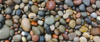 sea ​​pebbles