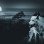 dreamed of wolves