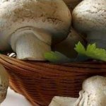 Champignons in a basket