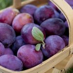 plums in a basket