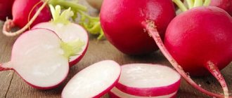 juicy radish