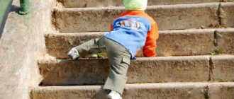 dream book climbing up the stairs