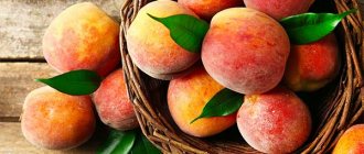 Dream interpretation of peaches