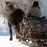 wood cart