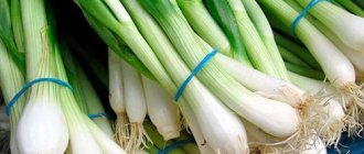 see green onions in a dream